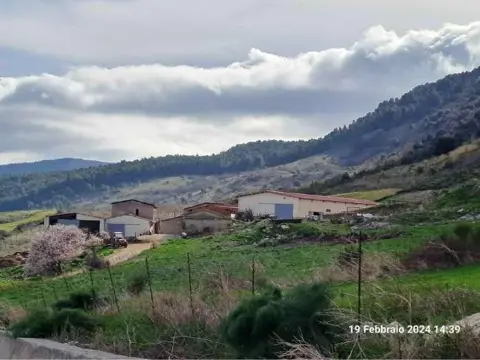 Terreno