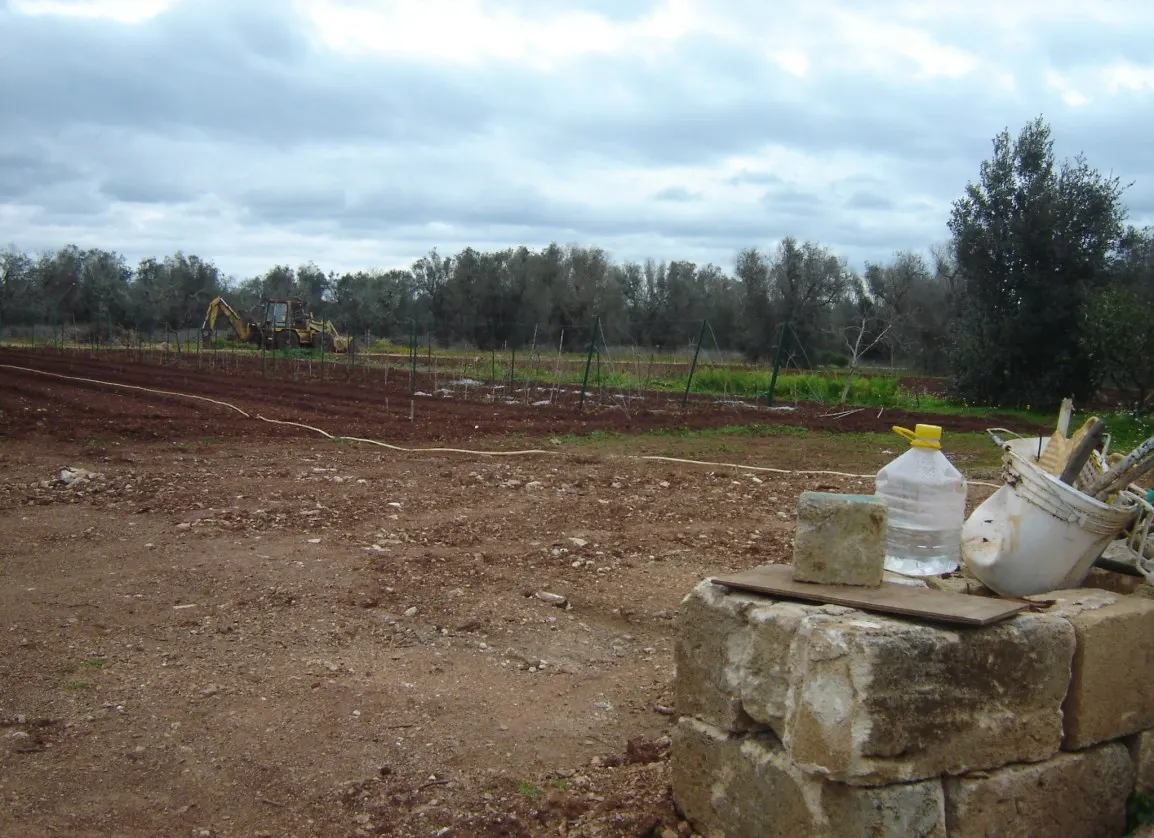 Terreno a Collepasso (Lecce) — foto 1