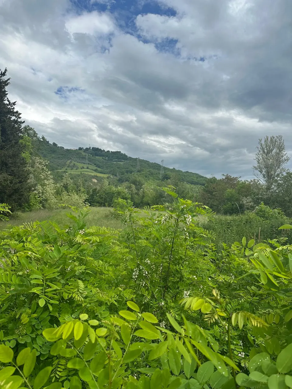 Terreno a Montorio al Vomano (Teramo) — foto 1