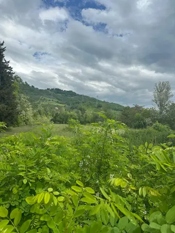 Terreno