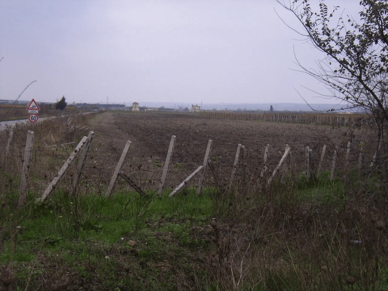 Terreno a San Severo (Foggia) — foto 1