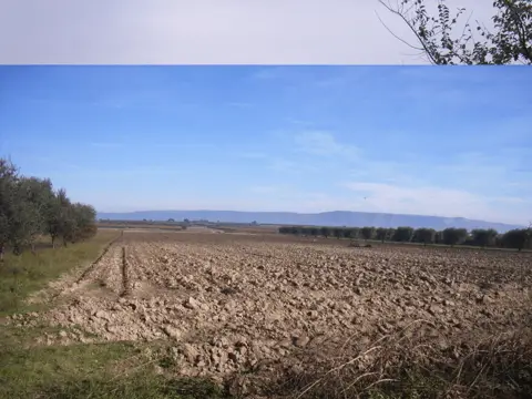 Terreno