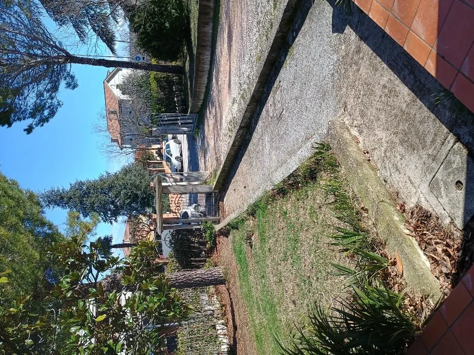 Laboratori arti a Monte San Pietrangeli (Fermo) — foto 1