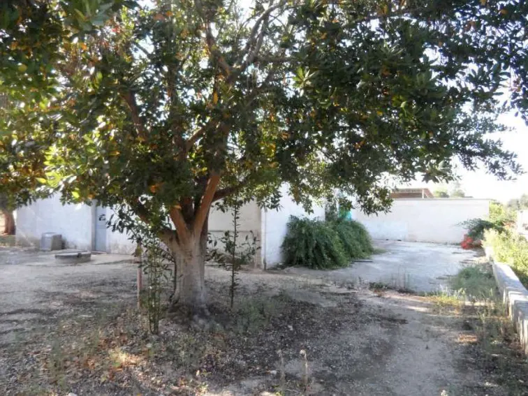 Appartamento a Francavilla Fontana (Brindisi) — foto 1