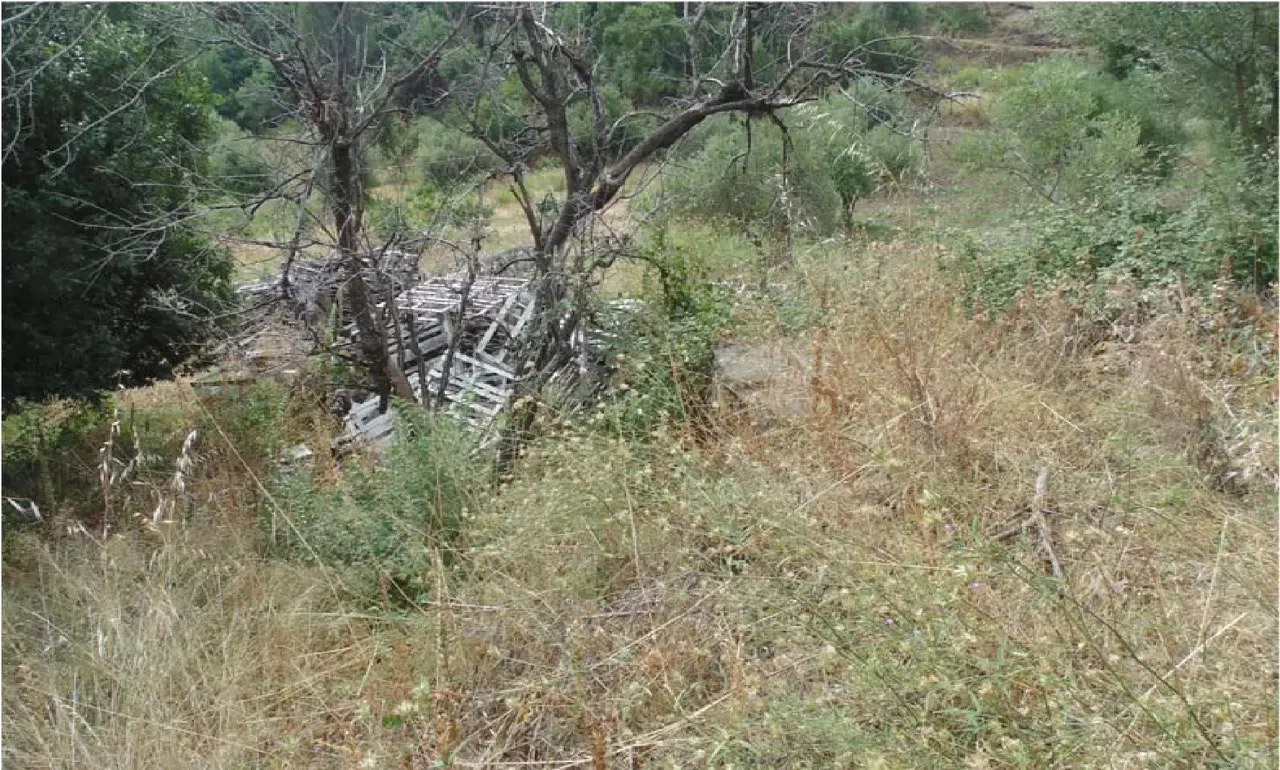 Terreno a Patti (Messina) — foto 1