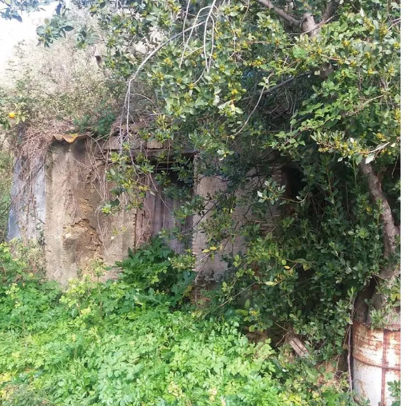 Terreno a Montagnareale (Messina) — foto 1