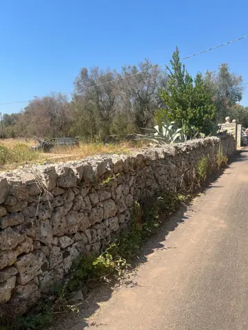 Terreno