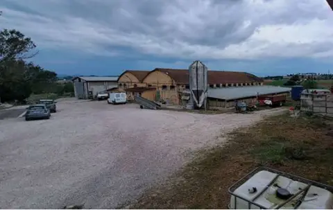 Fabbricati costruiti per esigenze ind