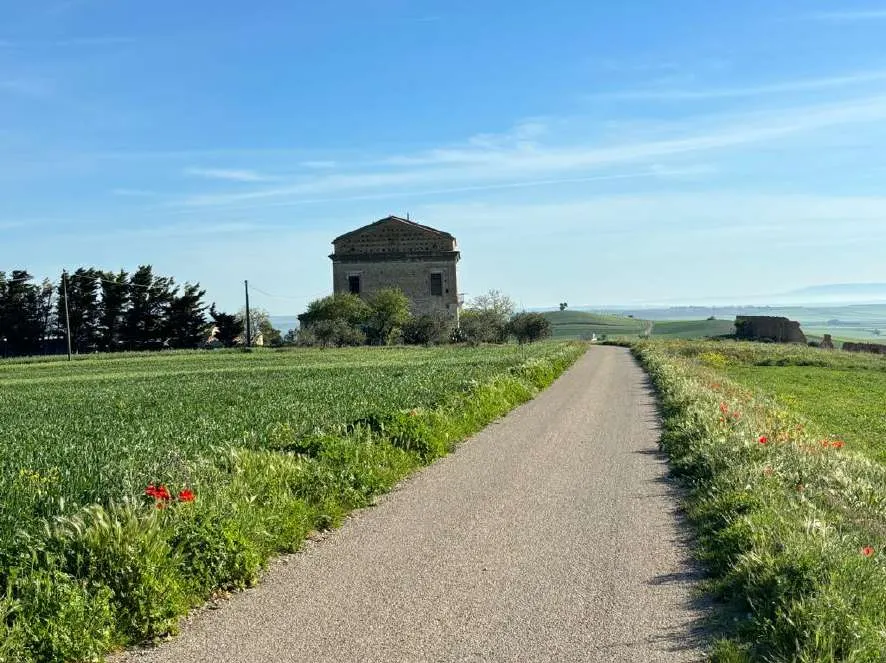 Terreno a Castelnuovo della Daunia (Foggia) — foto 1