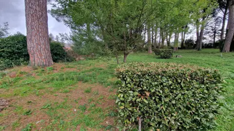 Terreno