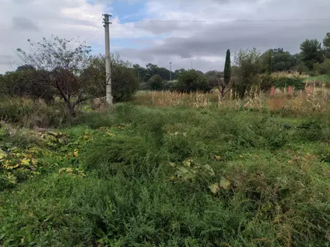 Terreno
