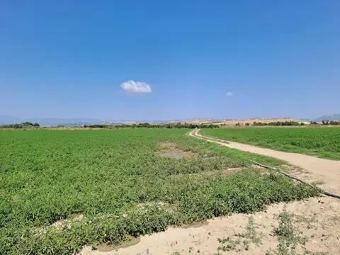 Terreno