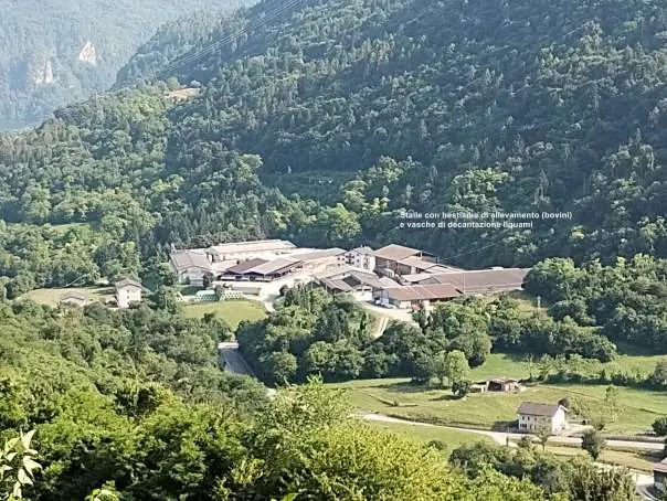 Abitazione popolare a Arsiè (Belluno) — foto 1