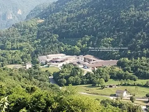 Abitazione popolare