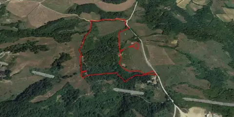 Terreno
