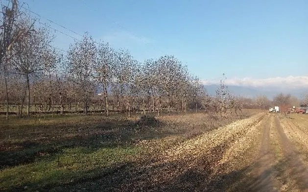 Appartamento a Sulmona (L'Aquila) — foto 1