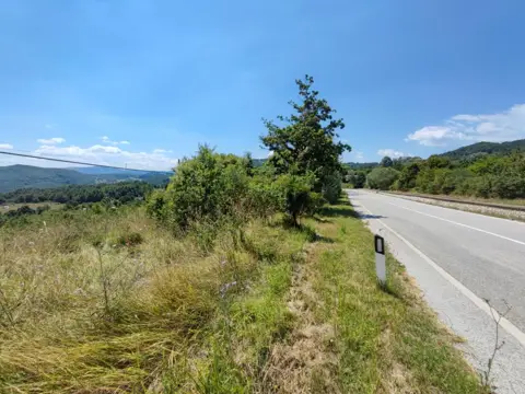 Terreno