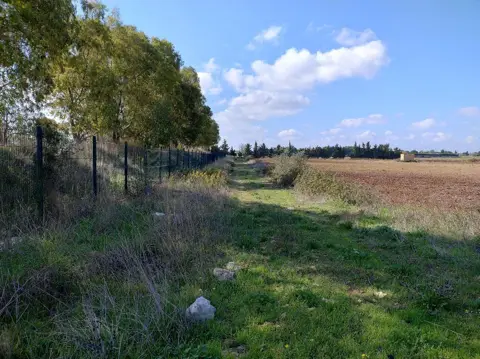 Terreno