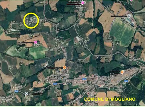 Fabbricati costruiti per esigenze ind
