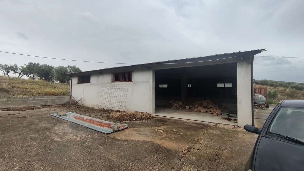 Terreno a Mesoraca (Crotone) — foto 1