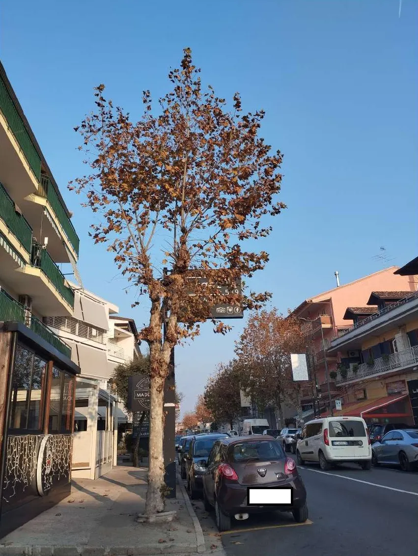 Appartamento civile a Giugliano in Campania (Napoli) — foto 1