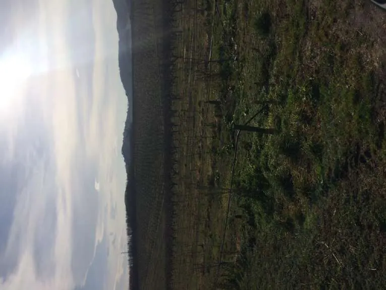 Terreno a Teano (Caserta) — foto 1