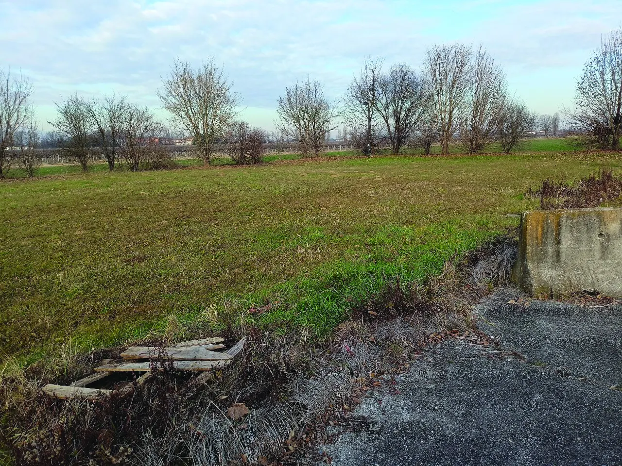 Terreno a Ponte di Piave (Treviso) — foto 1