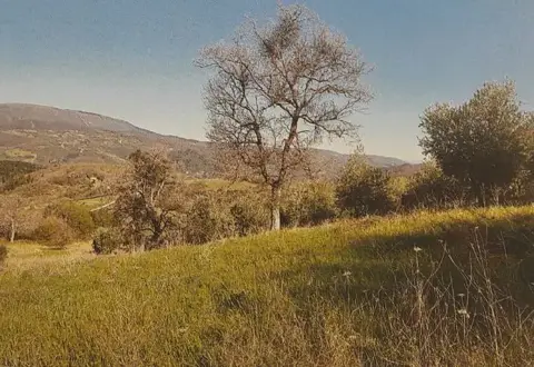Terreno