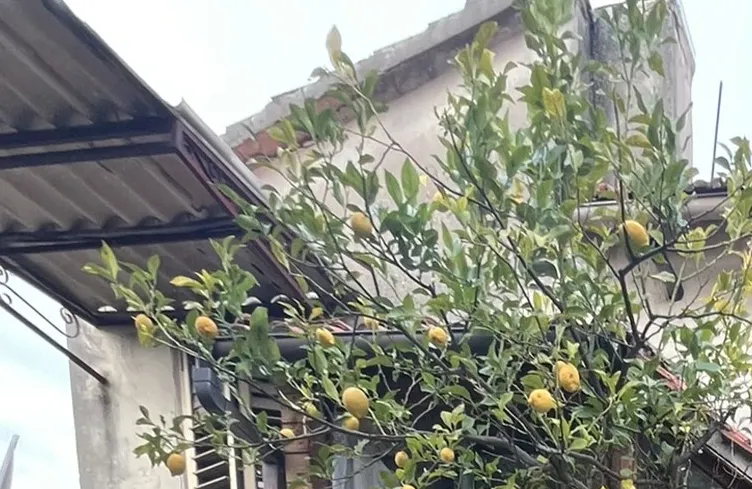 Abitazione popolare a Fara in Sabina (Rieti) — foto 1
