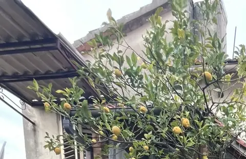 Abitazione popolare