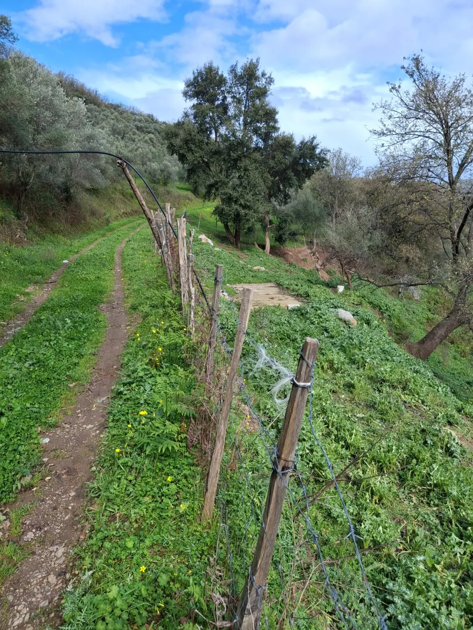 Terreno a Mirto (Messina) — foto 1