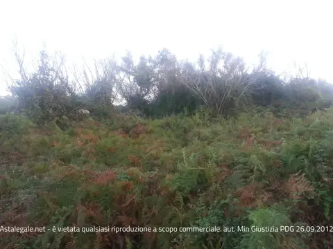 Terreno