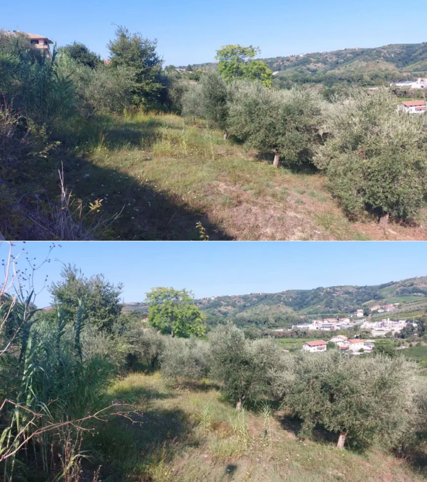 Terreno a Miglianico (Chieti) — foto 1