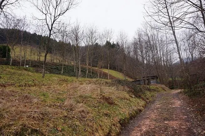 Terreno a Valli del Pasubio (Vicenza) — foto 1