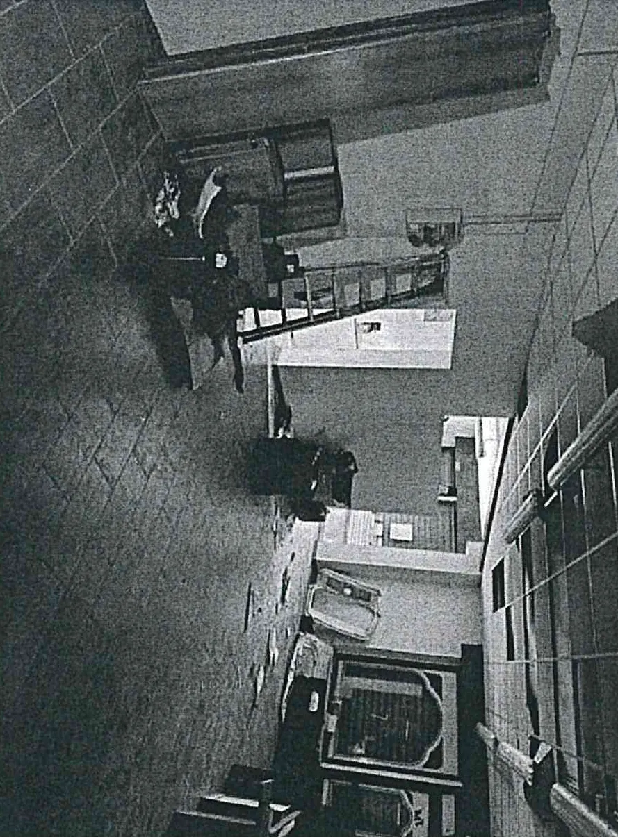 Negozi botteghe a Feltre (Belluno) — foto 1