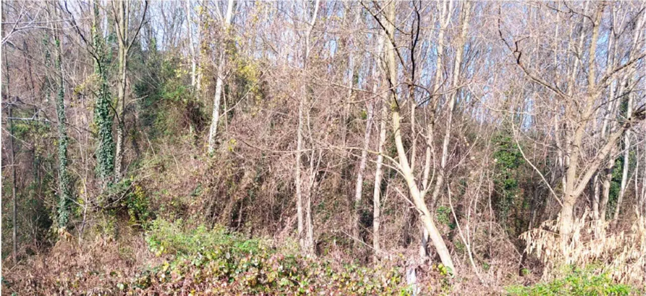 Terreno a Castello di Brianza (Lecco) — foto 1