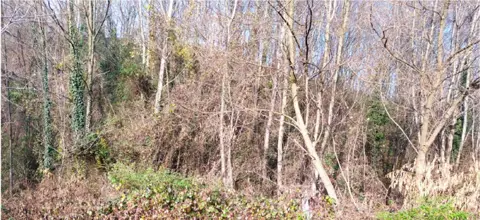 Terreno