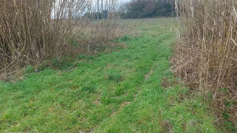 Terreno a Viterbo (Viterbo) — foto 1