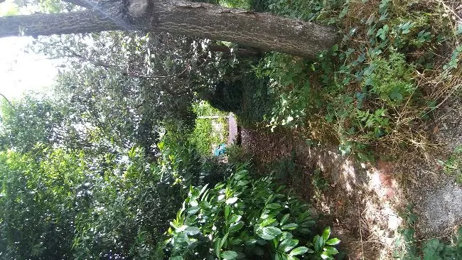 Villa a Latina (Latina) — foto 1