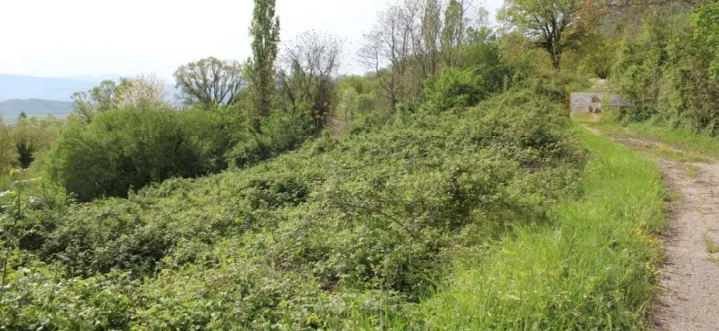 Terreno a Greccio (Rieti) — foto 1