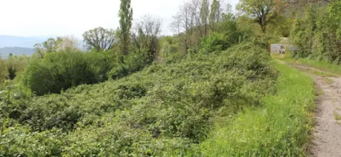 Terreno