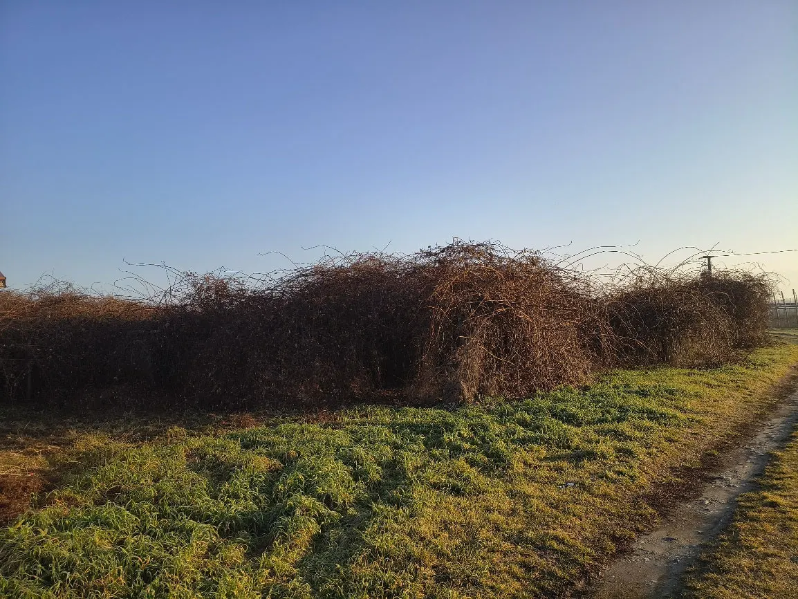 Terreno a Lagnasco (Cuneo) — foto 1