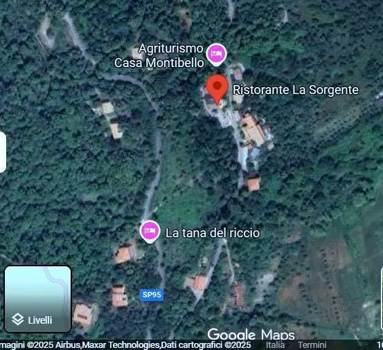 Negozi botteghe a Montalto Uffugo (Cosenza) — foto 1