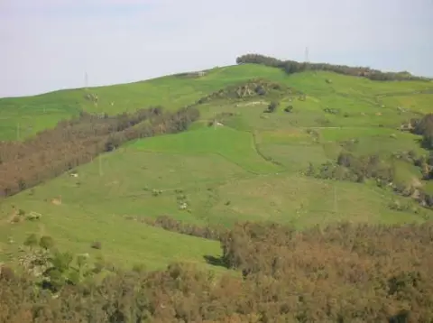 Terreno