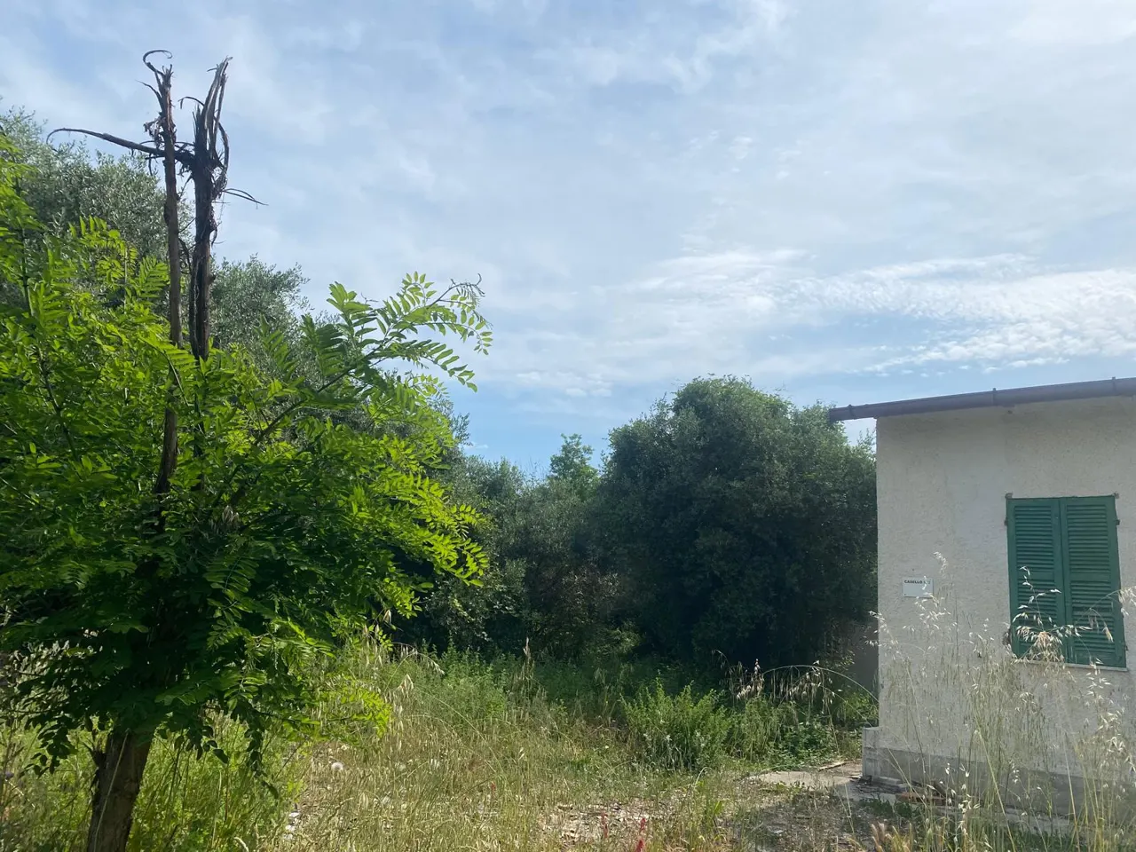 Terreno a Ripa Teatina (Chieti) — foto 1