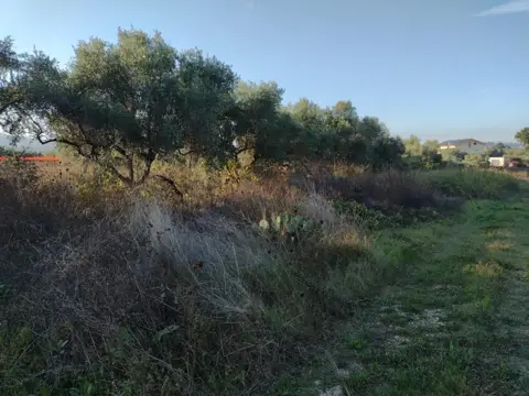 Terreno