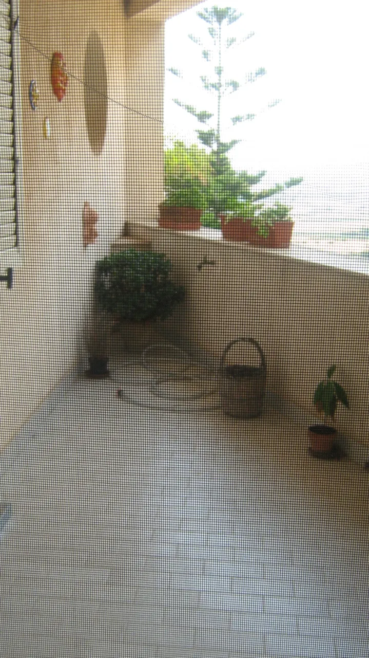 Appartamento civile a Naro (Agrigento) — foto 1
