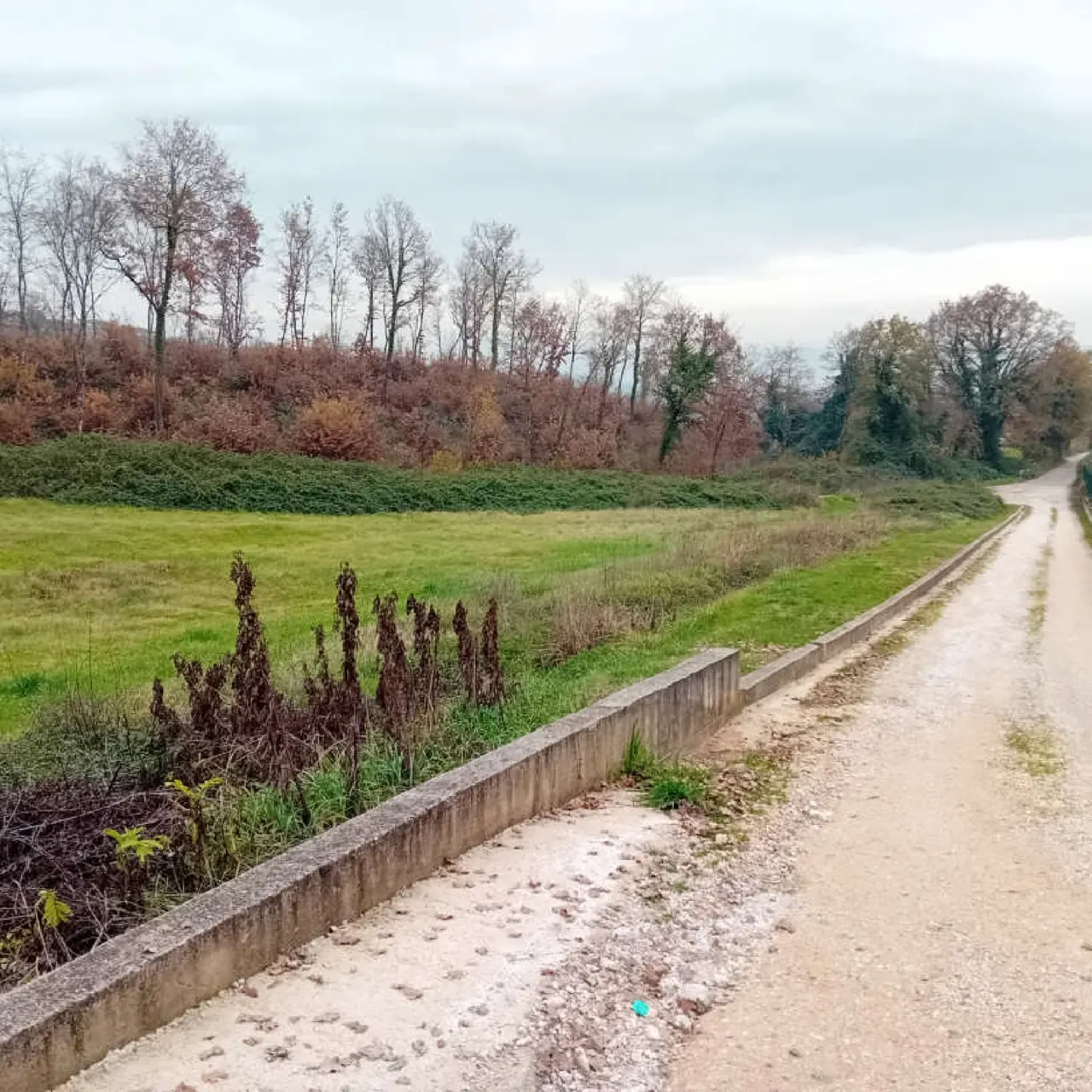 Terreno a Alatri (Frosinone) — foto 1