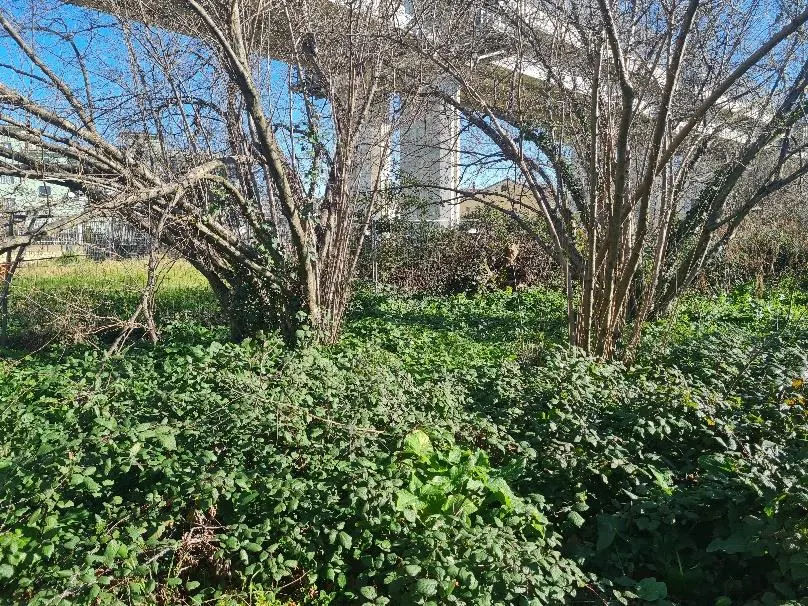Terreno a Quarto (Napoli) — foto 1