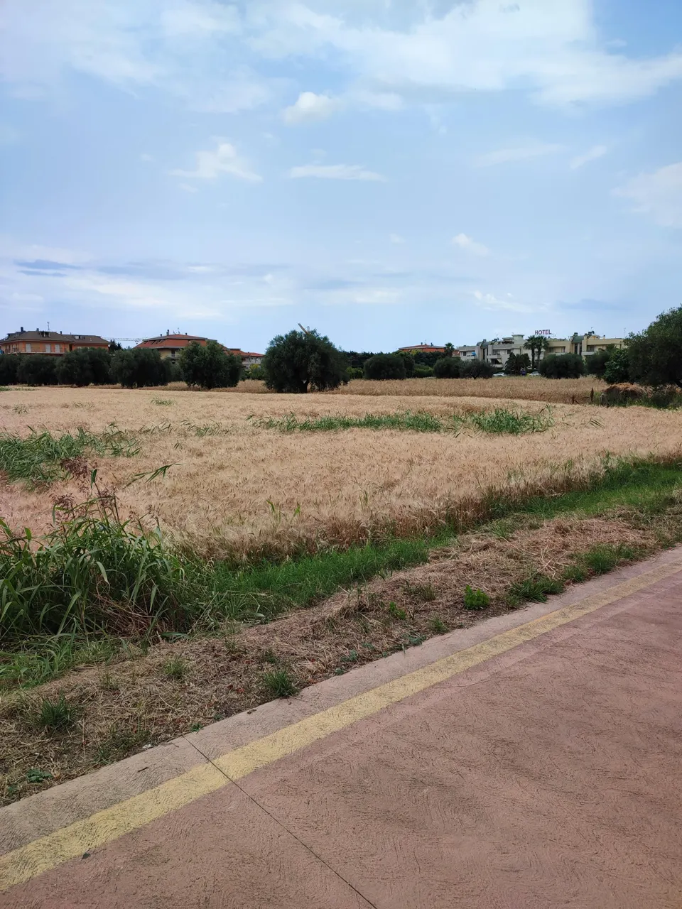 Terreno a San Benedetto del Tronto (Ascoli Piceno) — foto 1